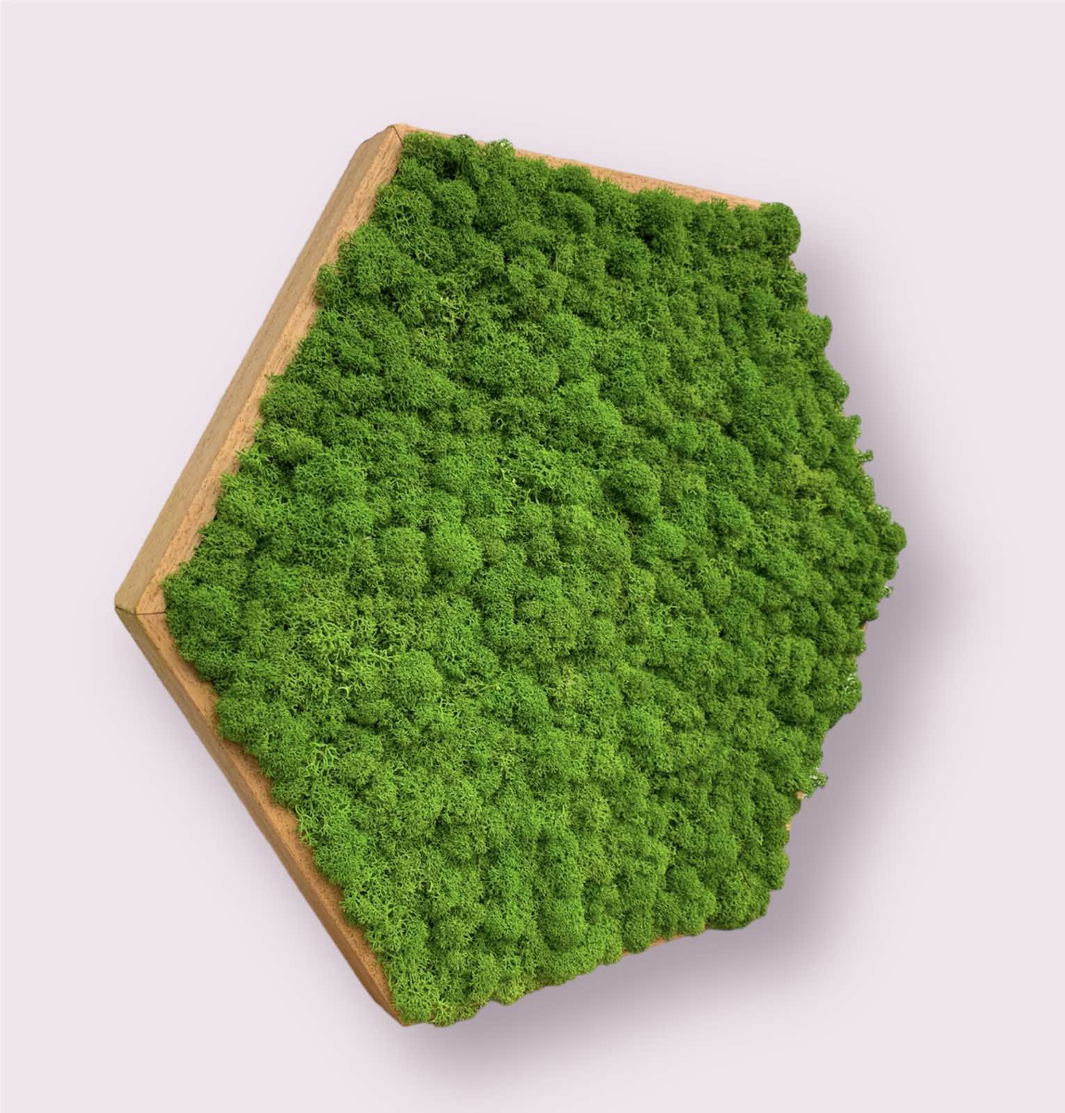 Hexagon a 8 uholník