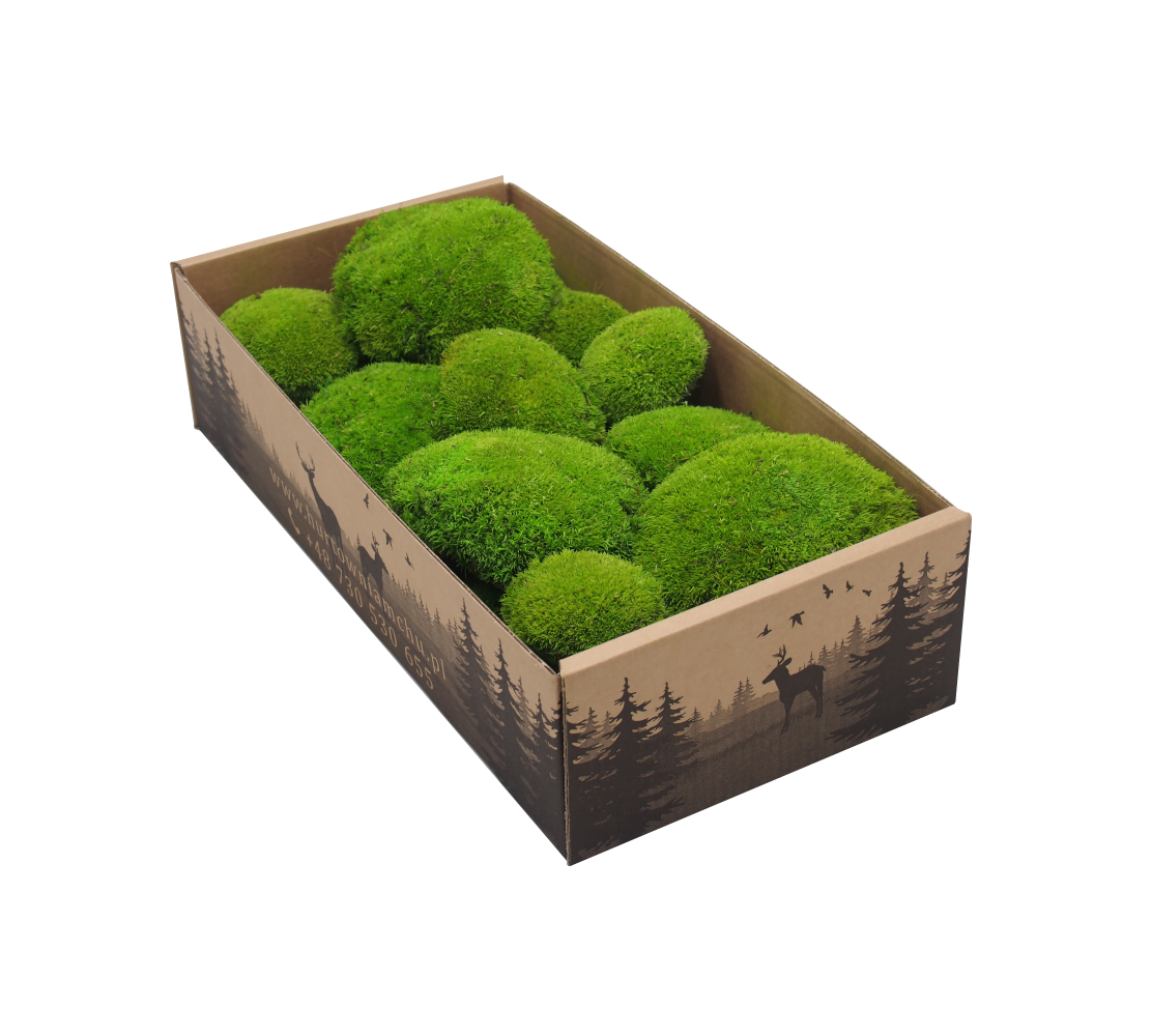 Kopčekový mach svetlý zelený 0,2kg SWE