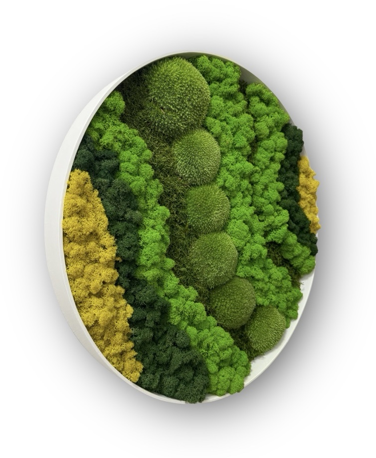 Machový obraz Kruh MIX