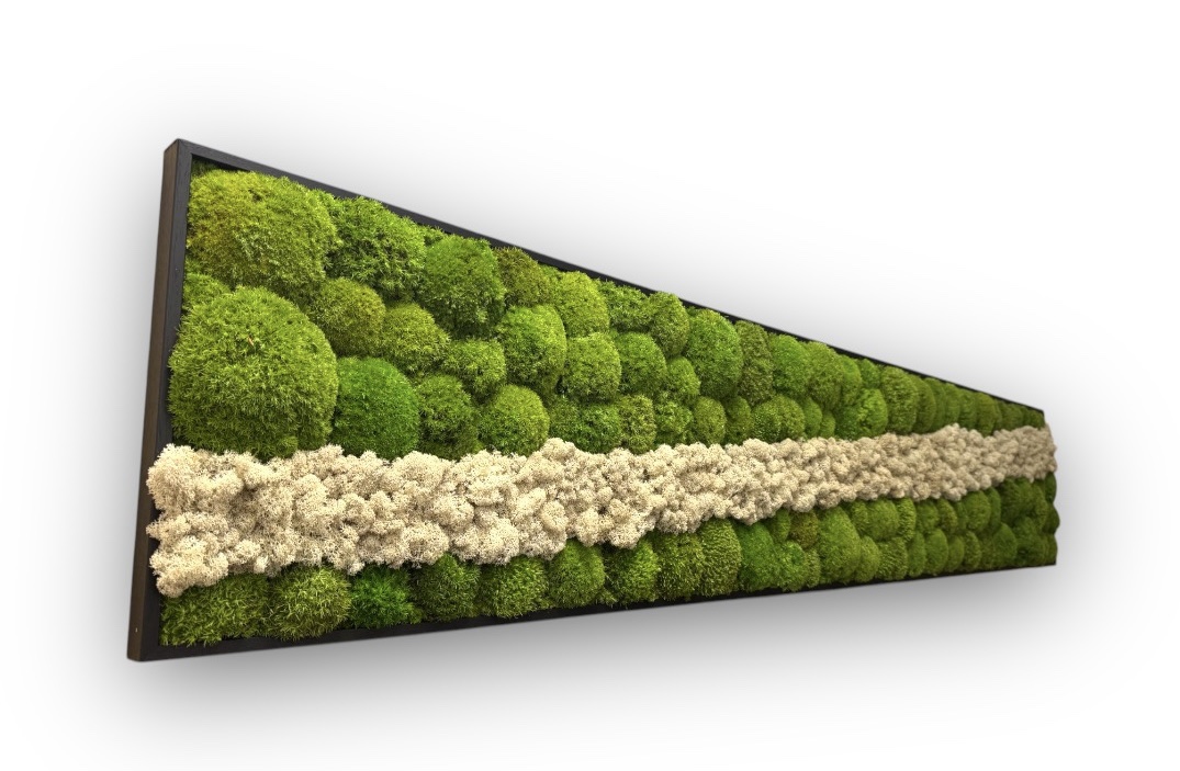 Machový obraz Kopčekový Bolmoss White water