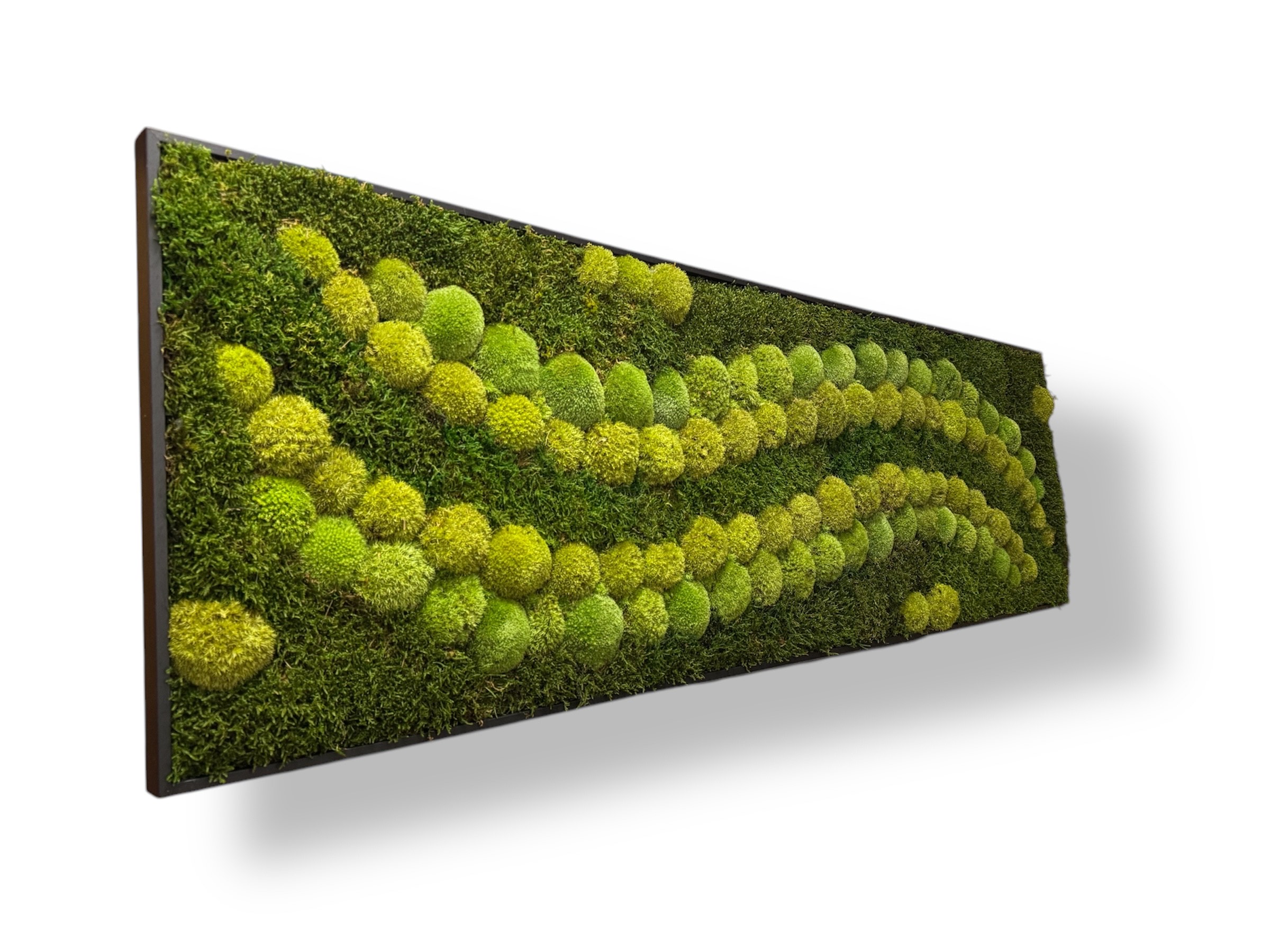 Machový obraz ZELENA HARMONIA