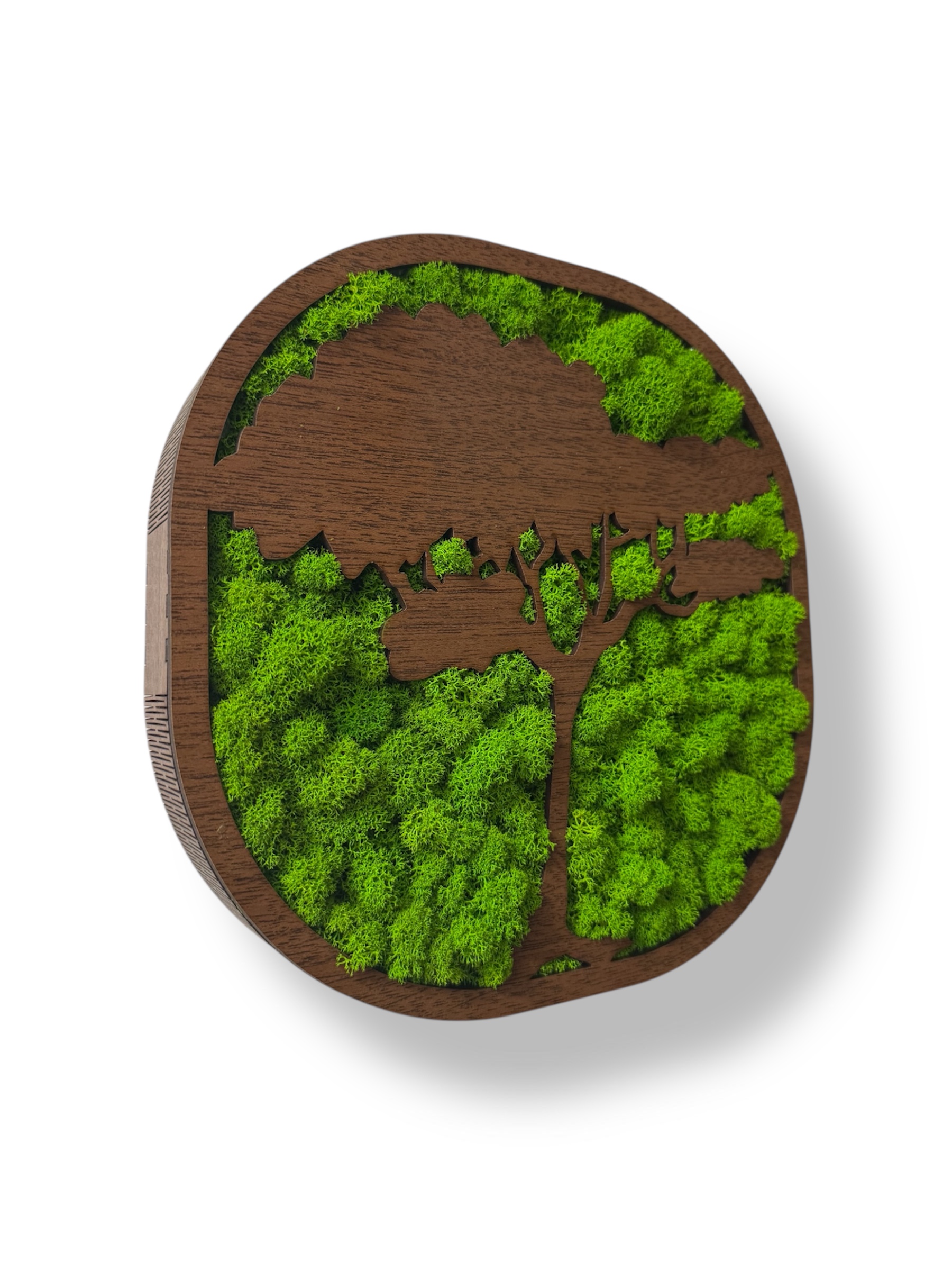 Machový strom života Harmónia 2