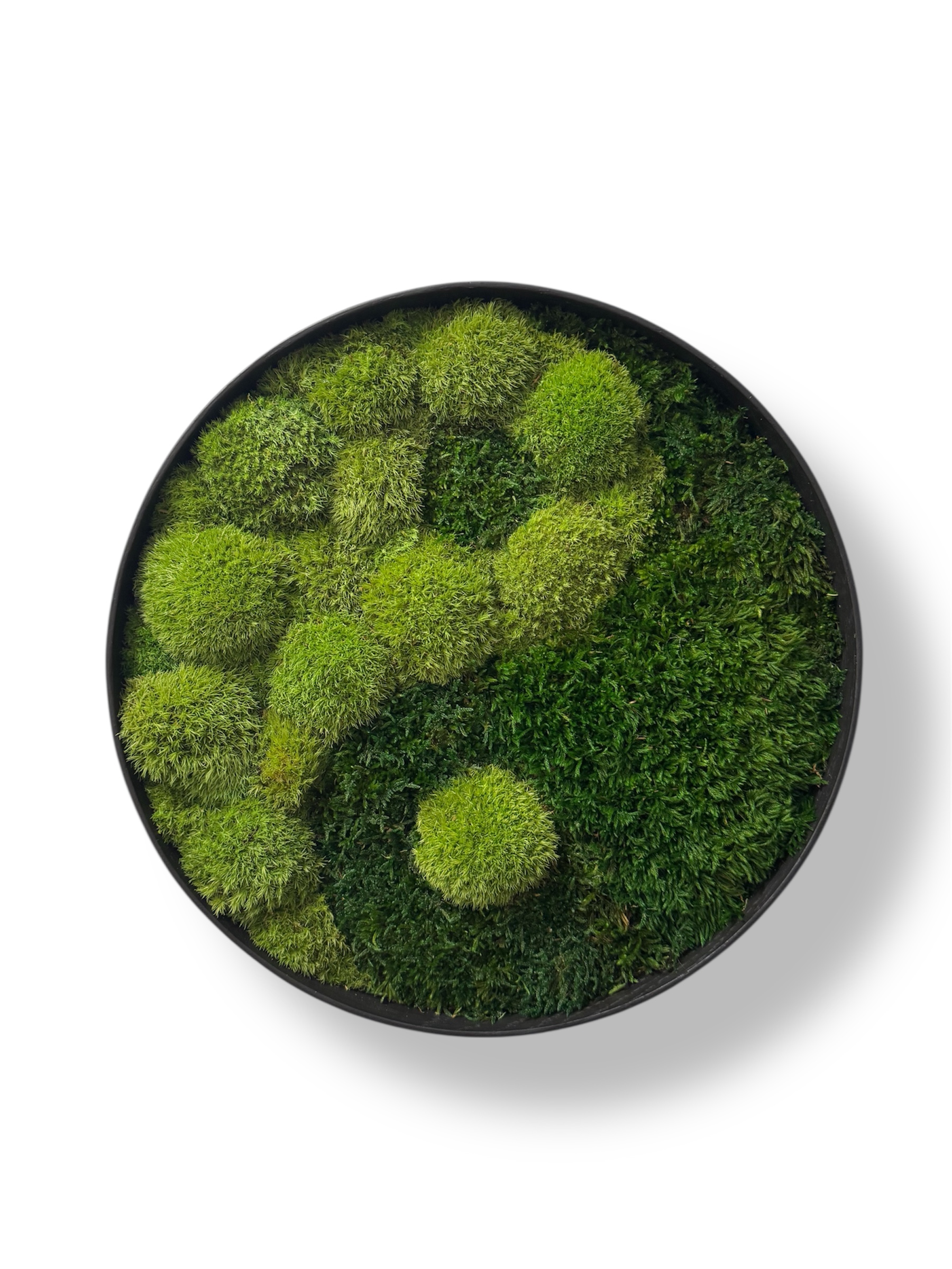 Machový obraz Jin a Jang