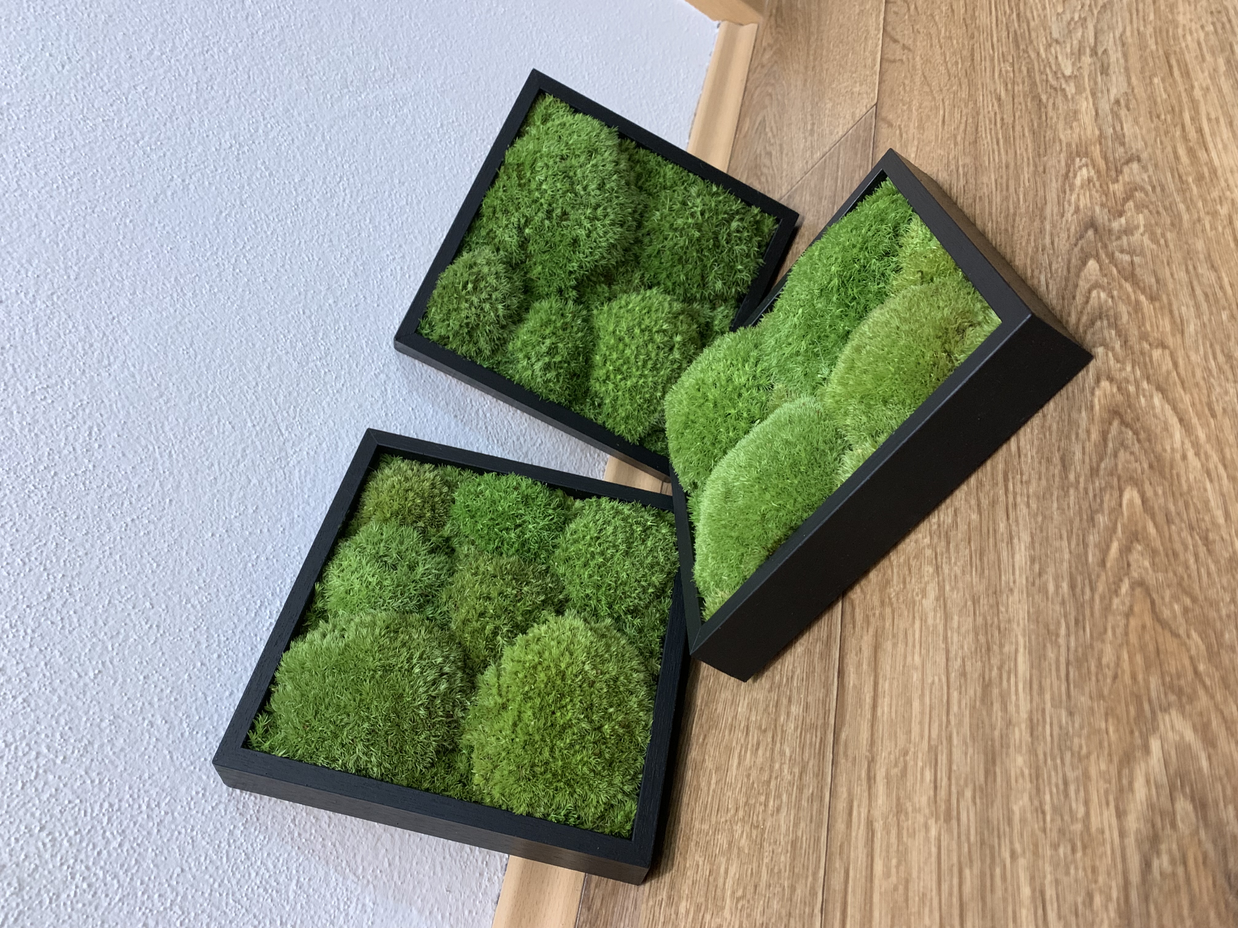Machové TRIO 3x BOLMOSS