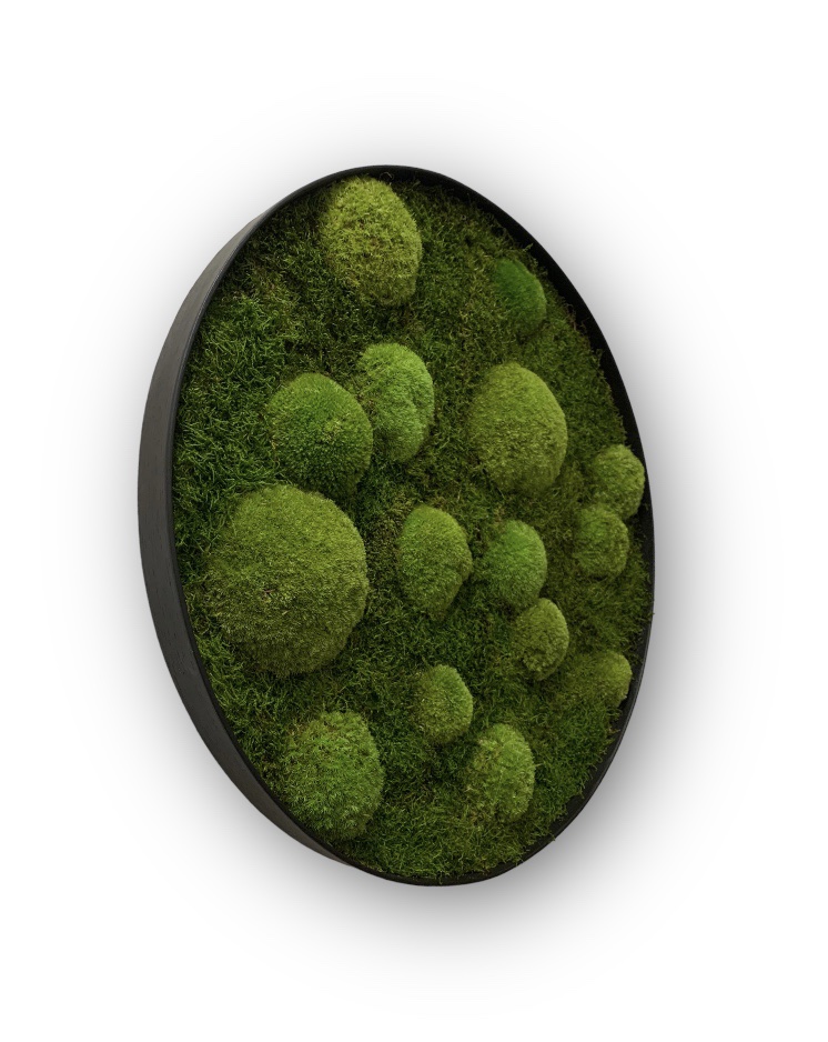 Machový obraz Kruh 4