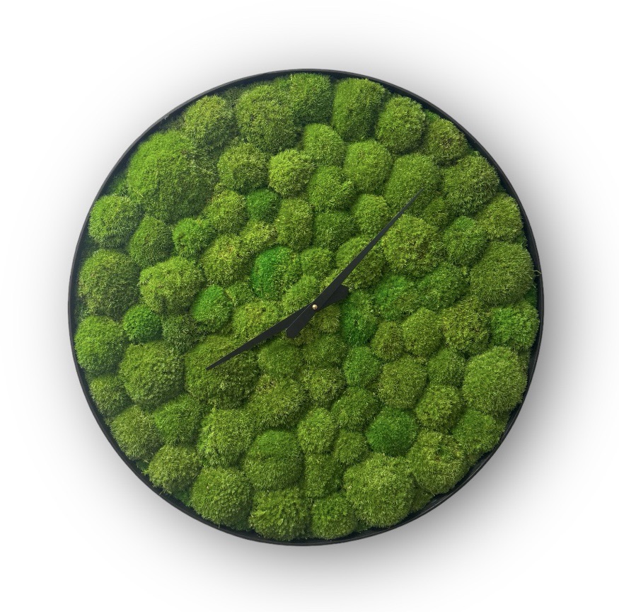 Machové hodiny BOLMOSS