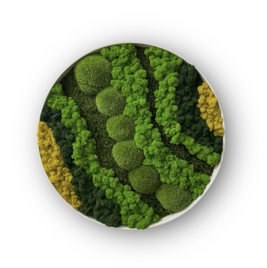 Machový obraz Kruh MIX