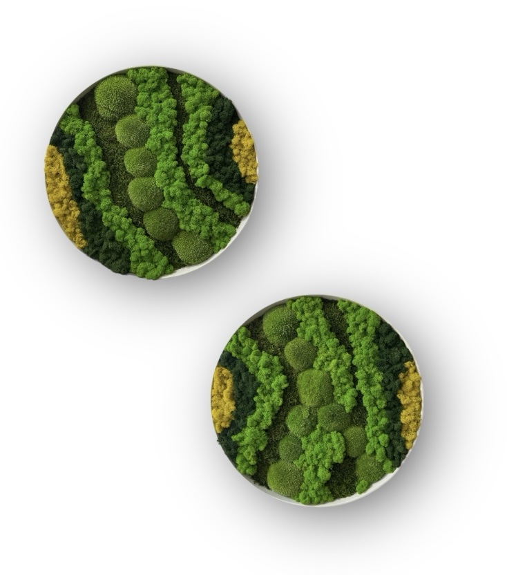 Machový obraz Kruh MIX SET