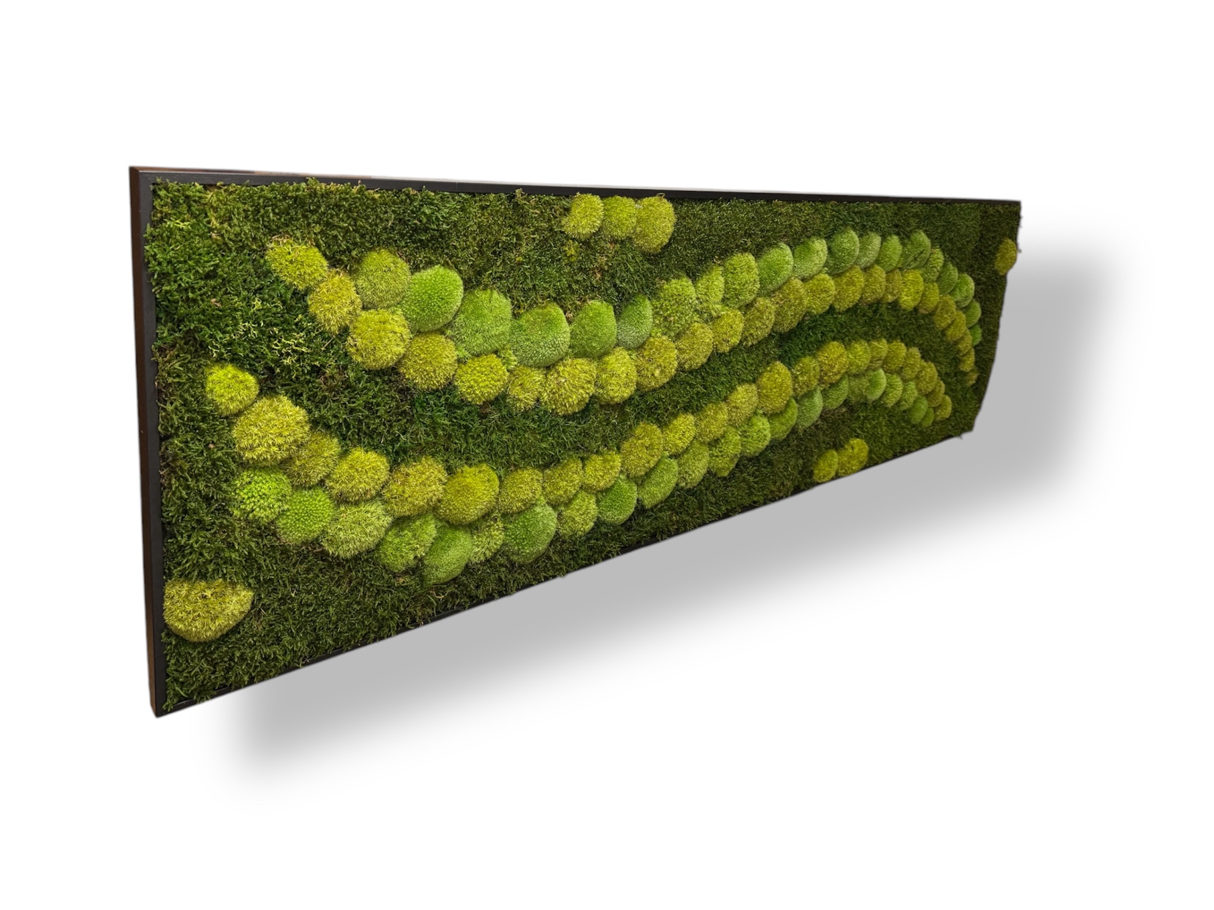 Machový obraz ZELENA HARMONIA