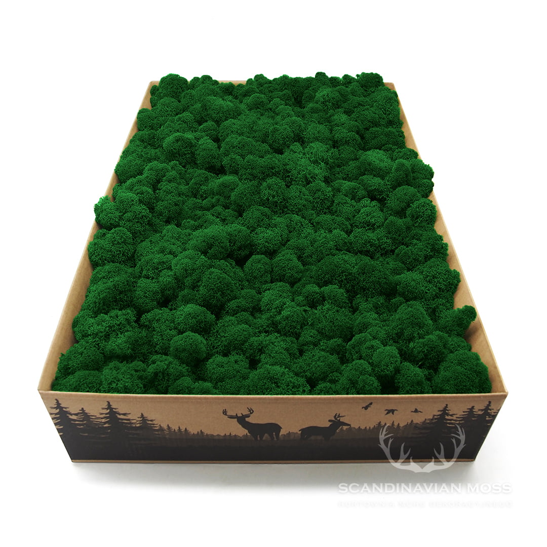  Lišajník mach vyčistený stredne zelený 2kg FIN