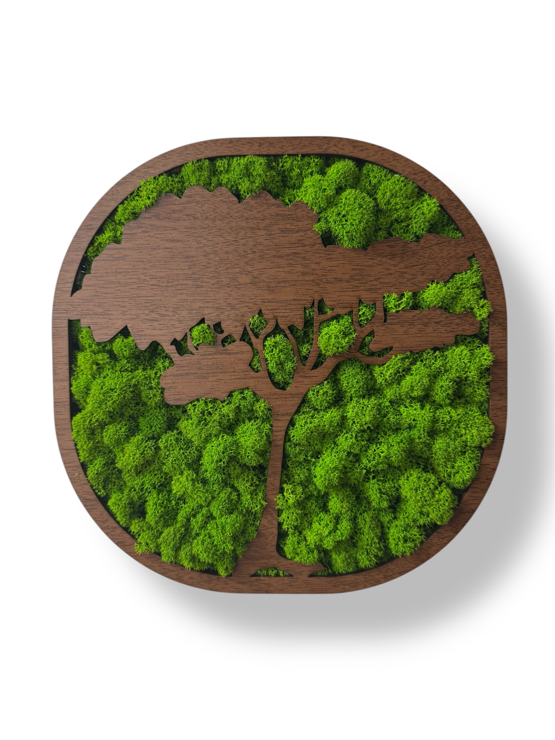 Machový strom života Harmónia 2