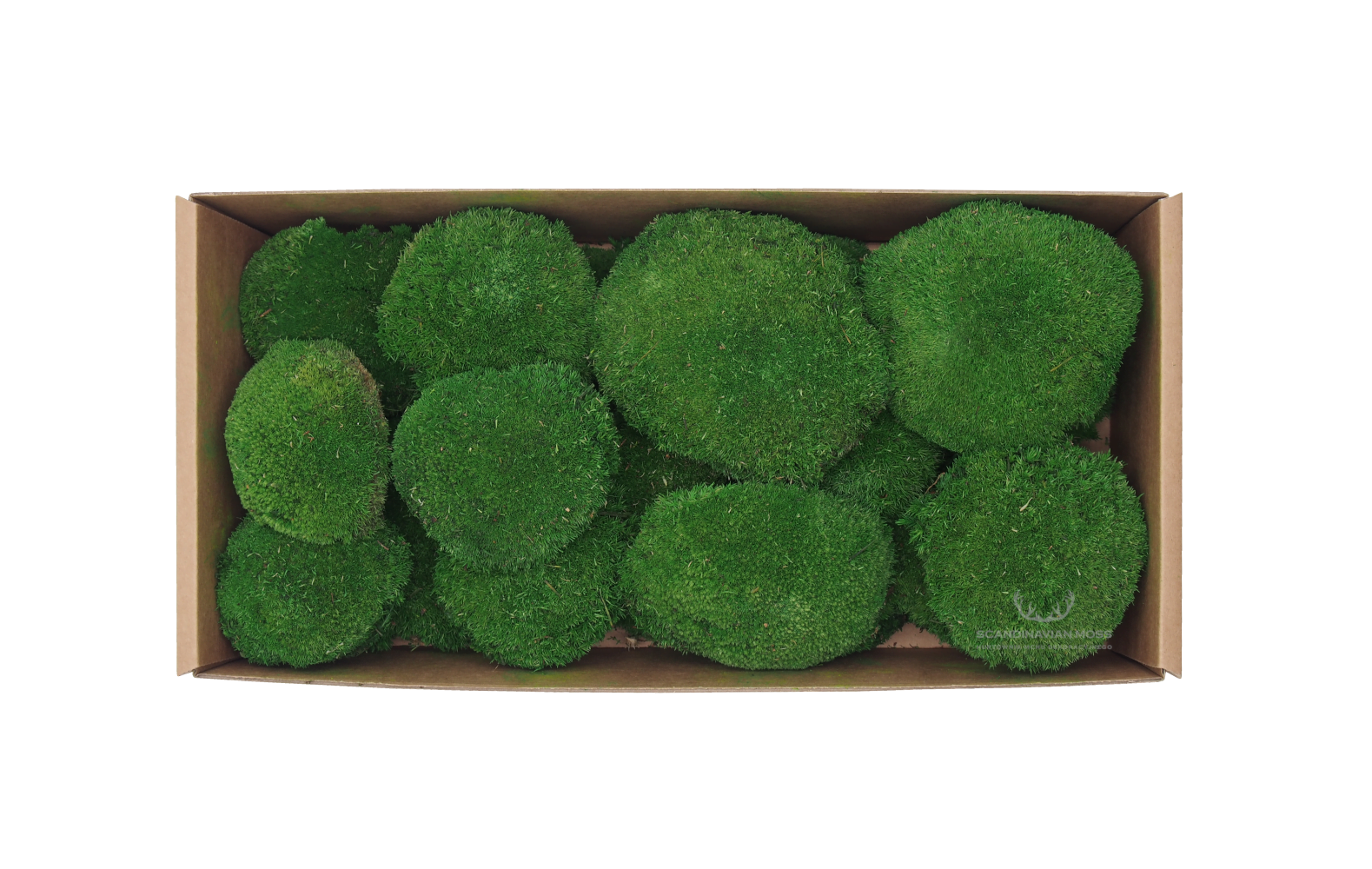 Kopčekový mach tmavo zelený 0,2kg SWE