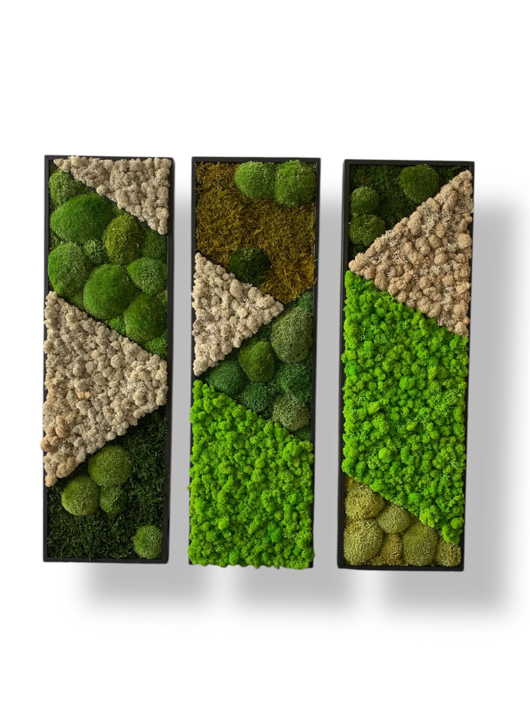 Machový 3-obraz MOZAIKA 3x 80x25cm