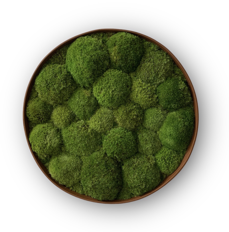 Machový obraz Kruh 2