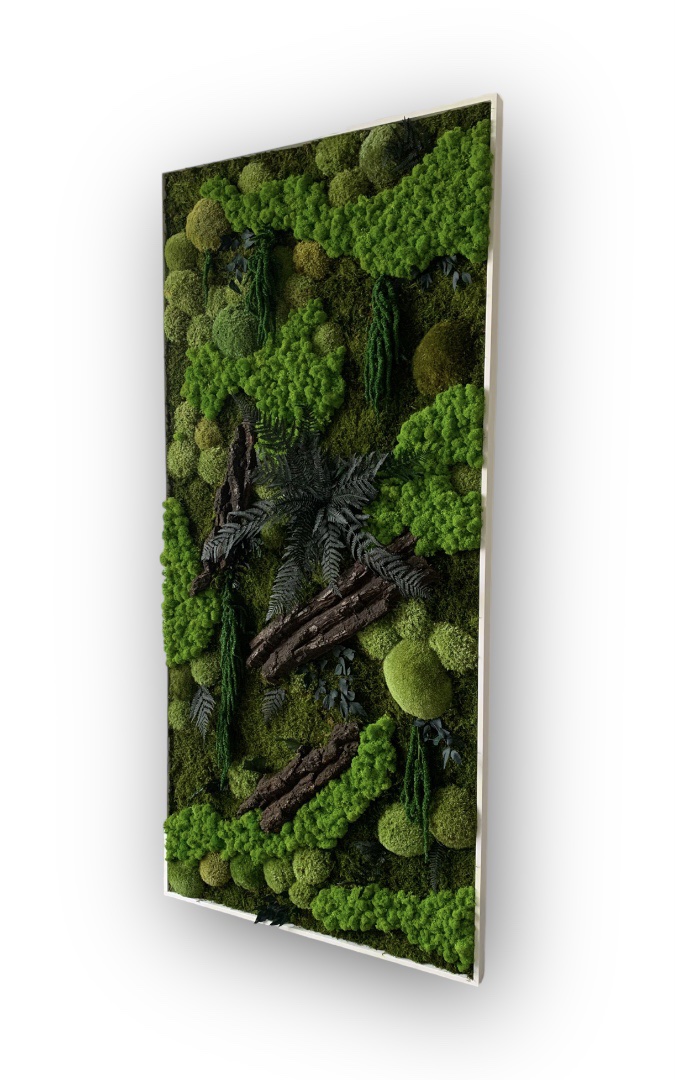 Machový obraz MAGIC 150x70cm