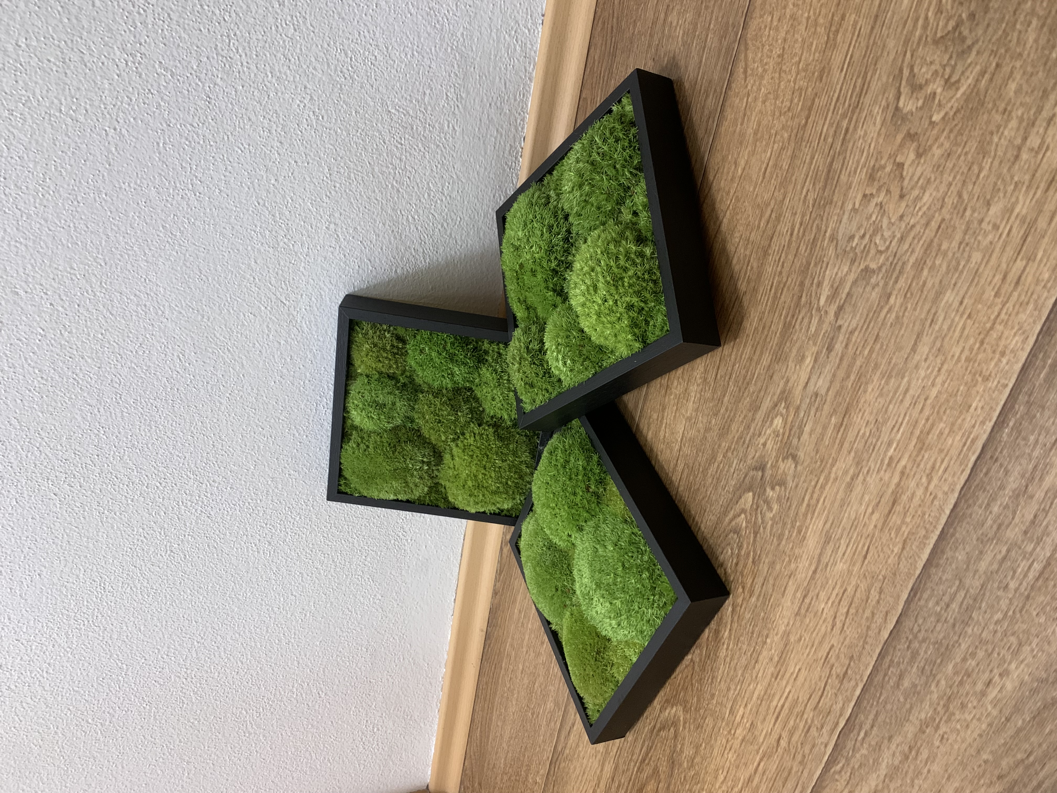 Machové TRIO 3x BOLMOSS