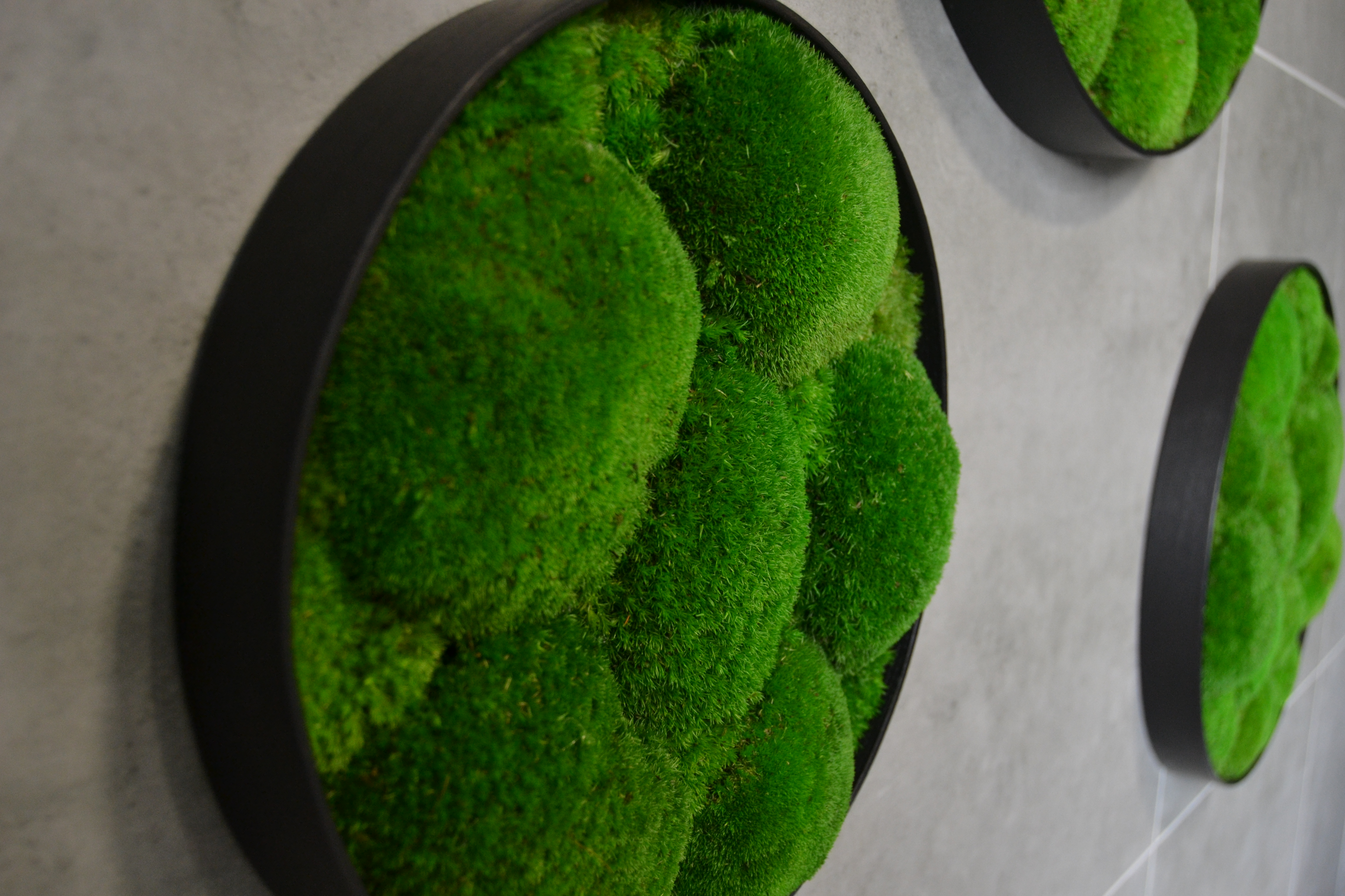 Machový set 3 kruhových obrazov