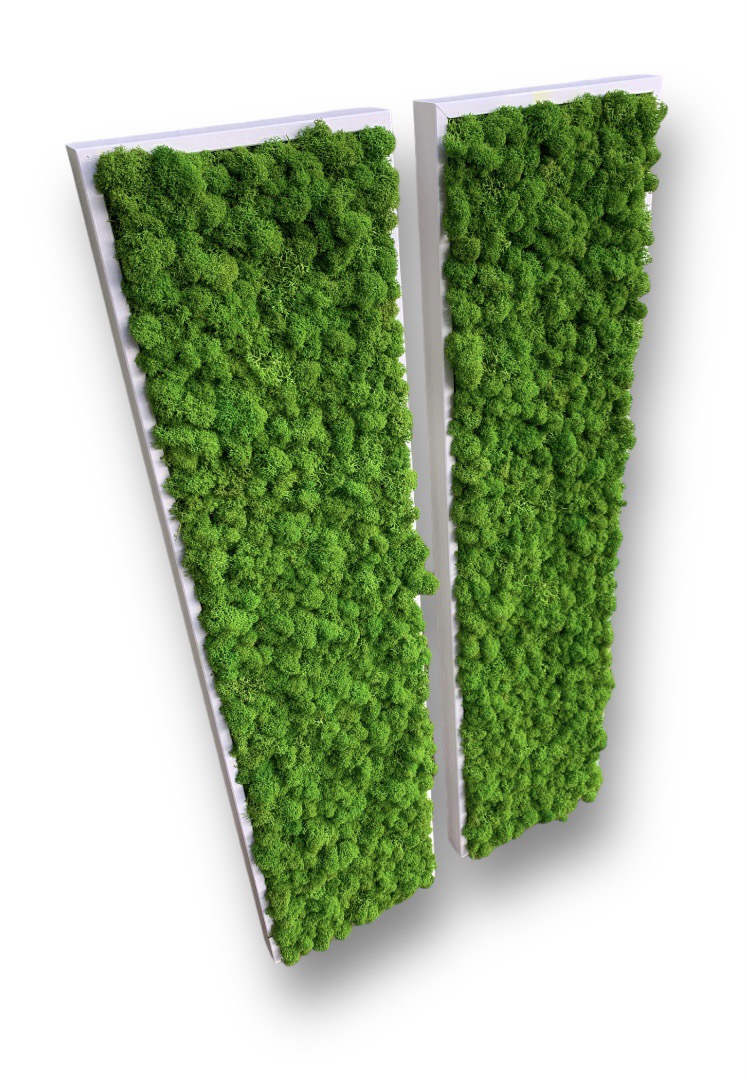 Machový 2-obraz Lišajník 