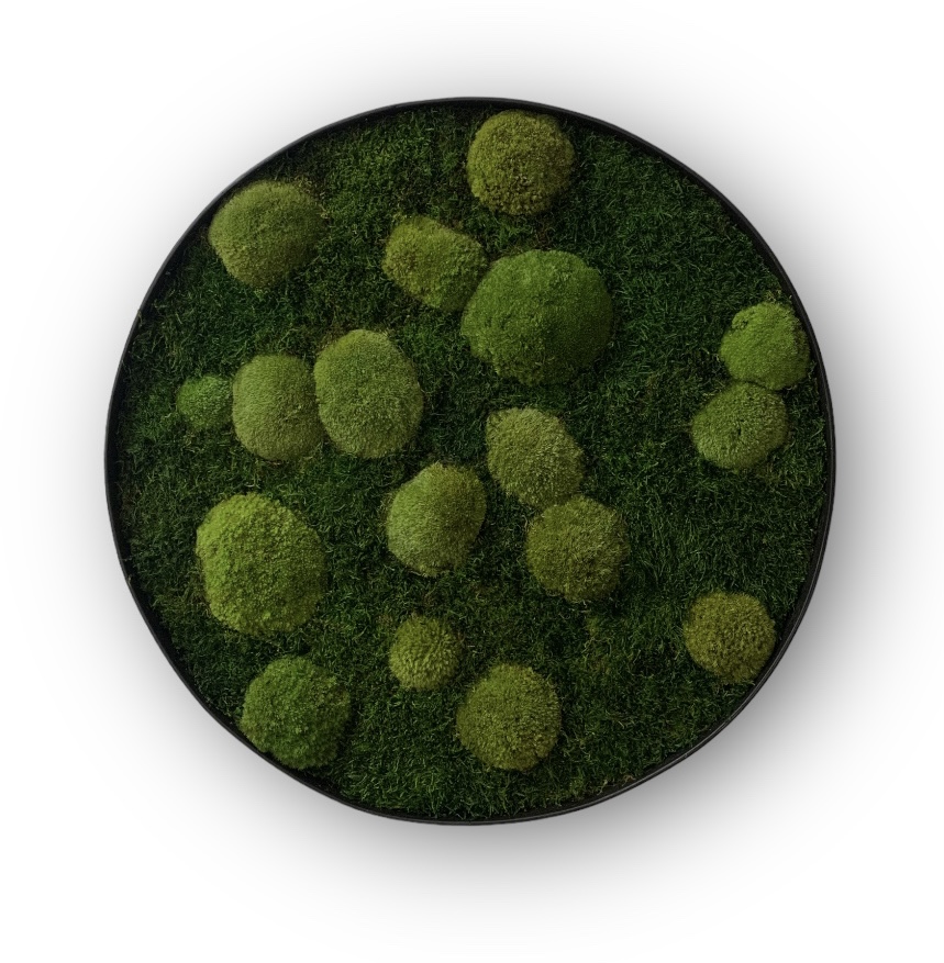 Machový obraz Kruh 3