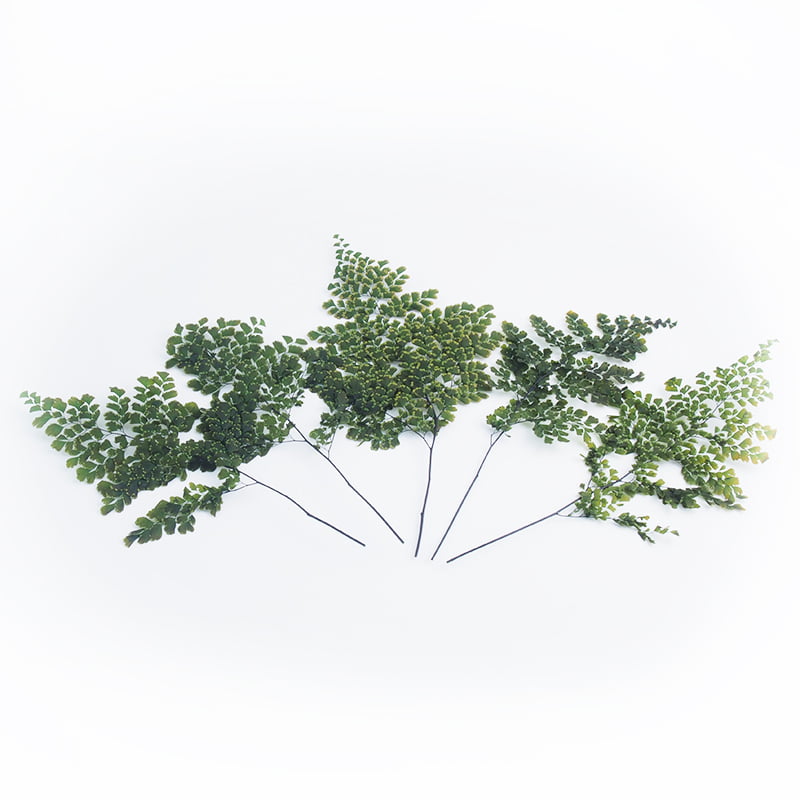 Papraď Lutti zelená