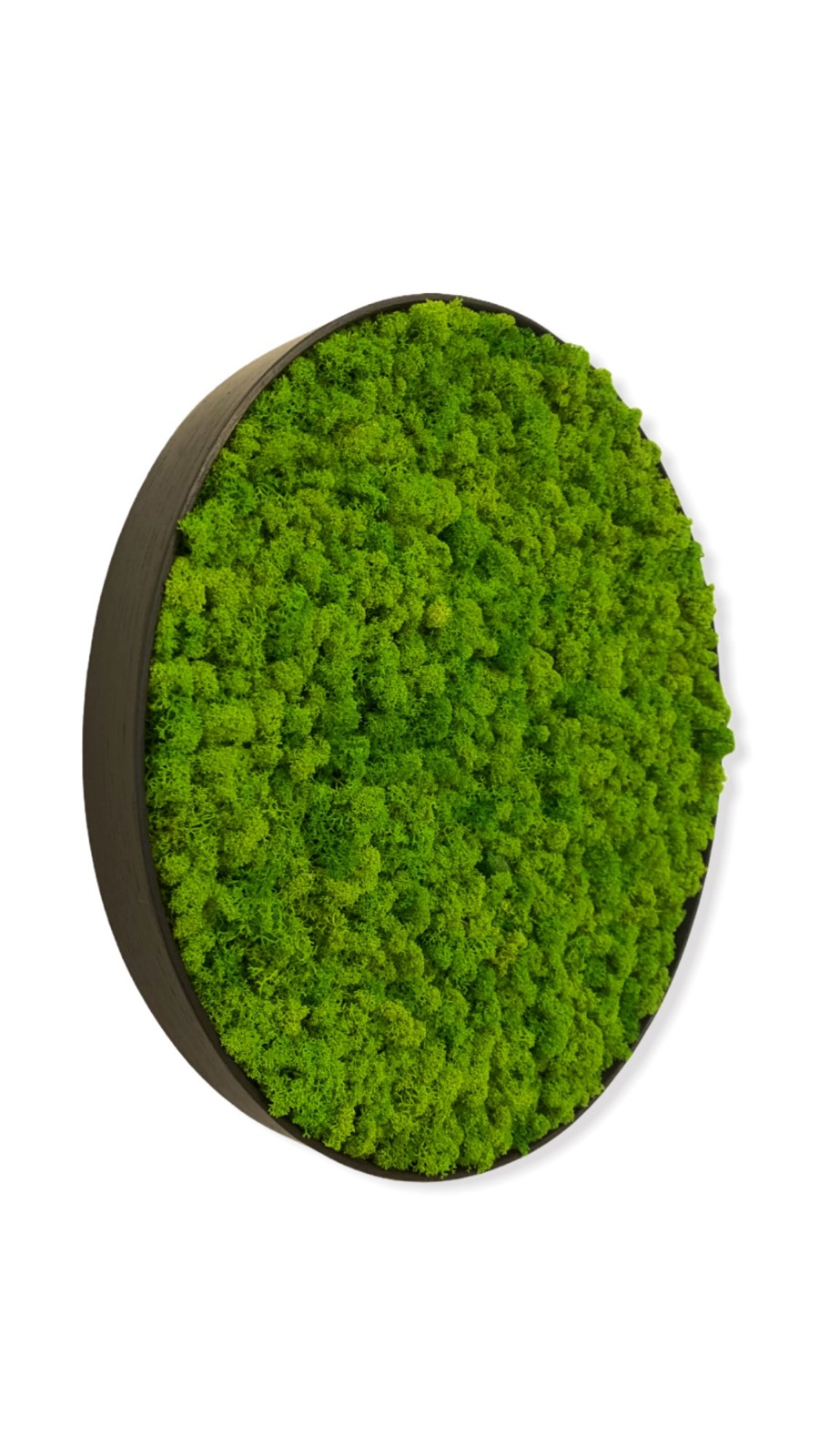 Machový obraz Kruh Lišajník