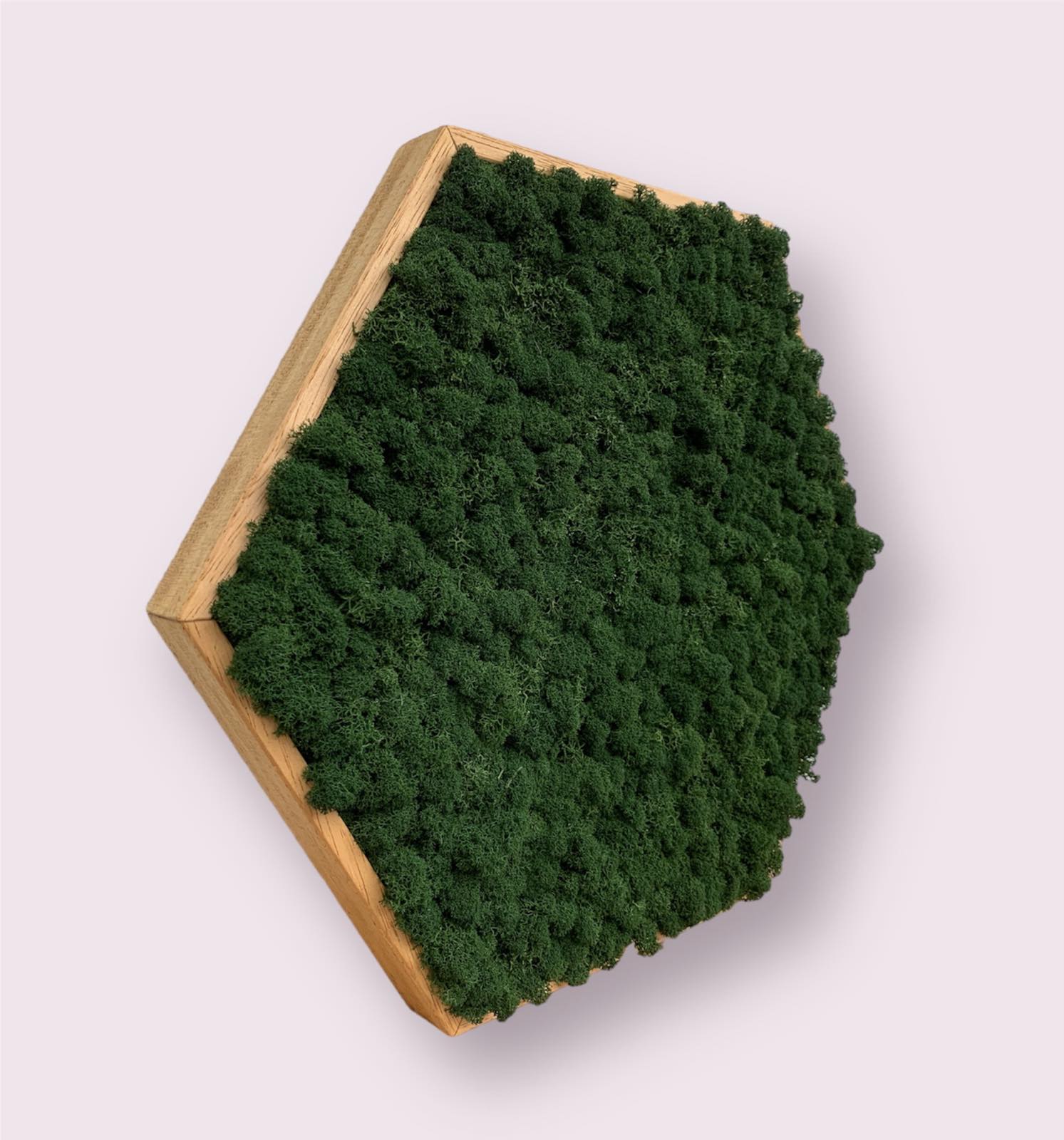 Machový obraz Hexagon Lišajník