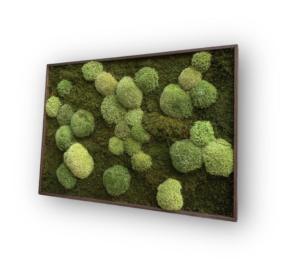 Machový obraz Kopčekovo plochý 2