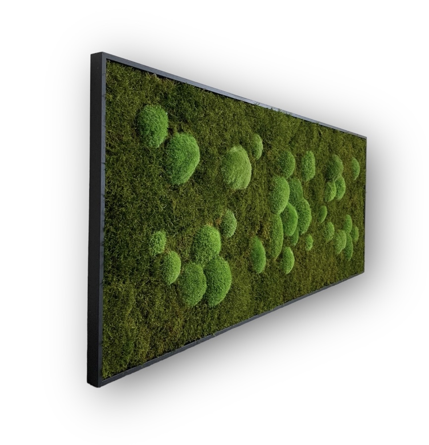 Machový obraz Kopčekovo plochý