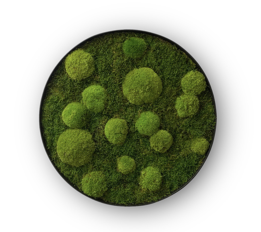 Machový obraz Kruh 4