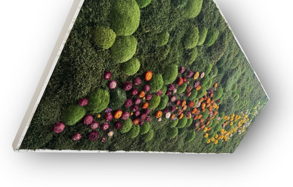 Machový obraz Flowers