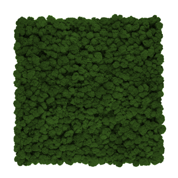  Lišajník mach vyčistený tmavá zelená 4kg FIN