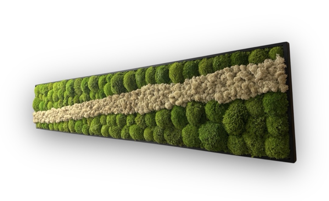 Machový obraz Kopčekový Bolmoss White water