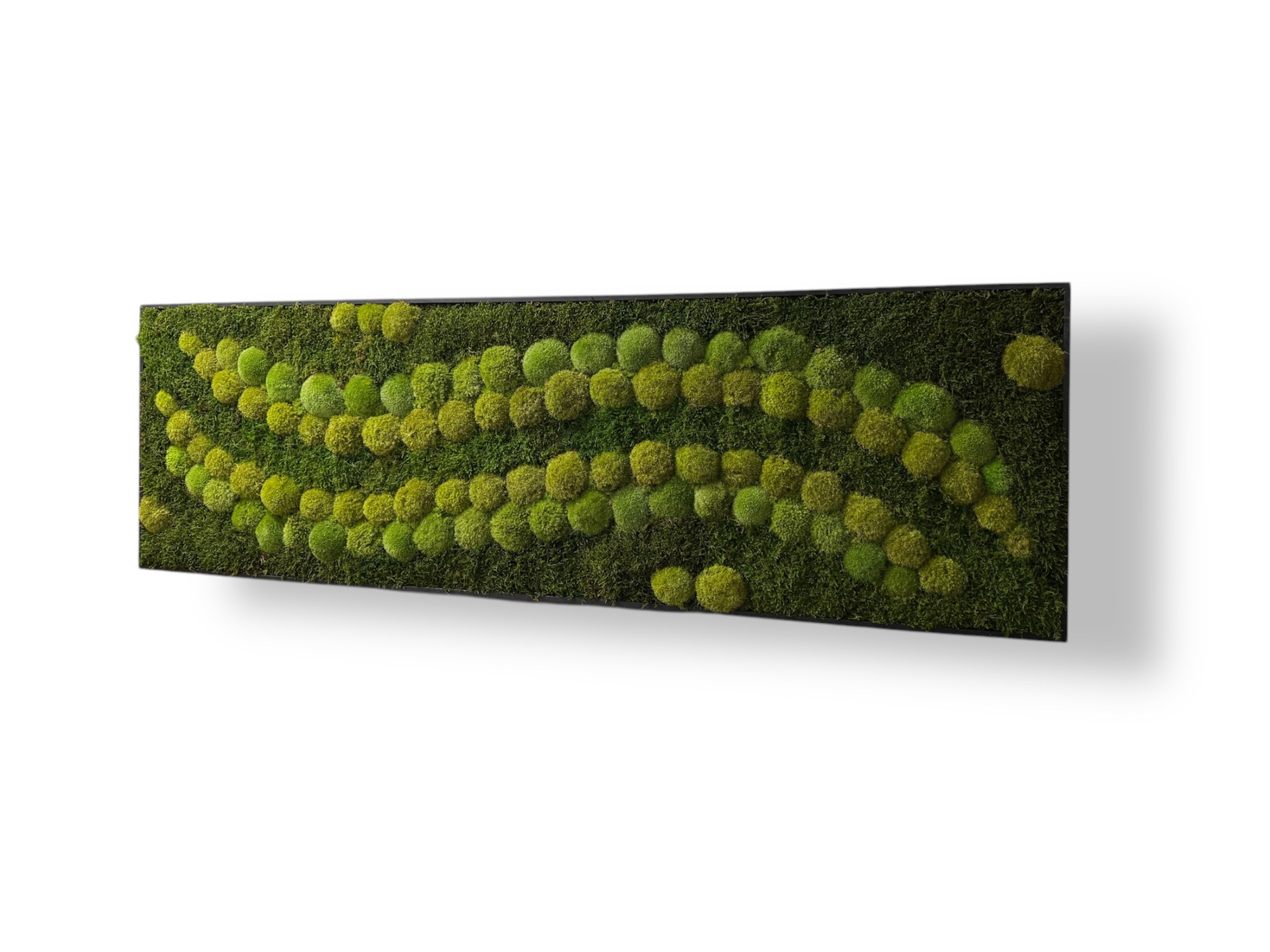 Machový obraz ZELENA HARMONIA