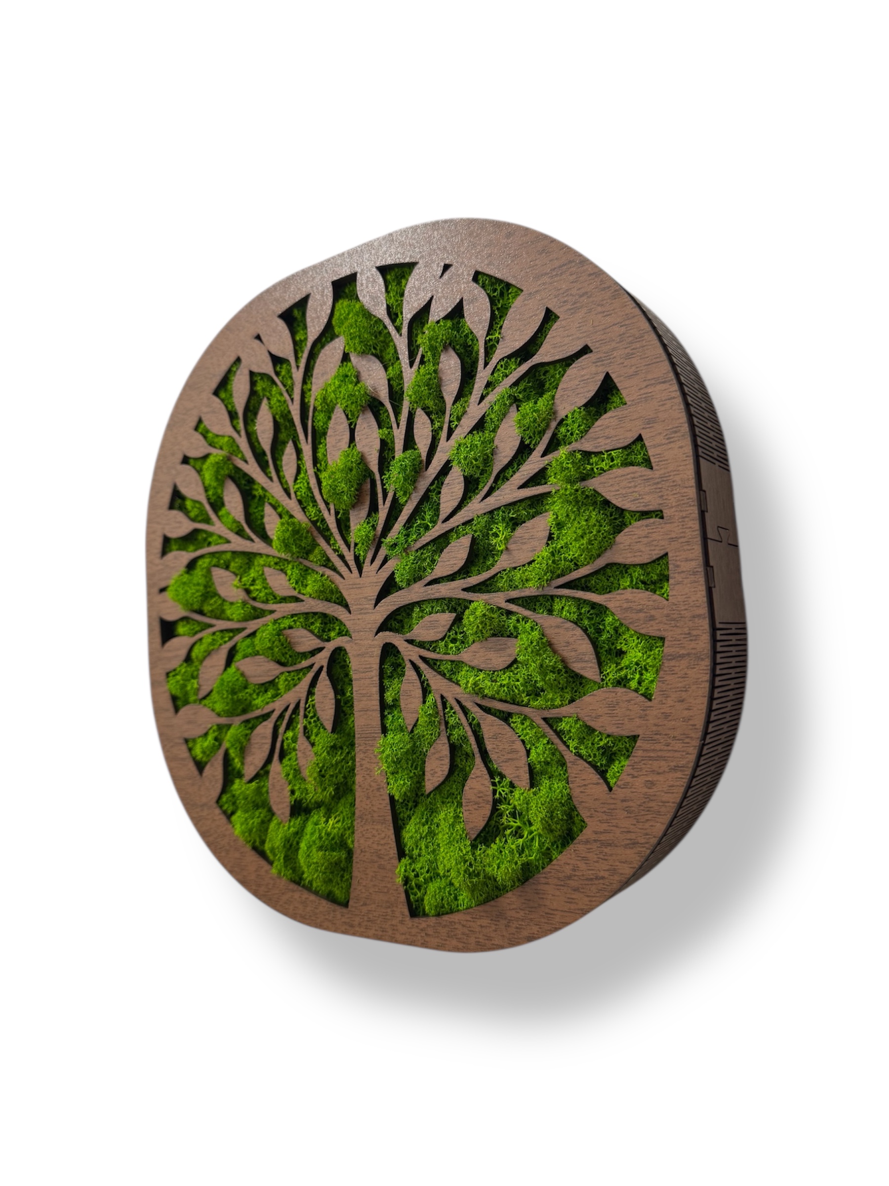 Machový strom života Harmónia 1