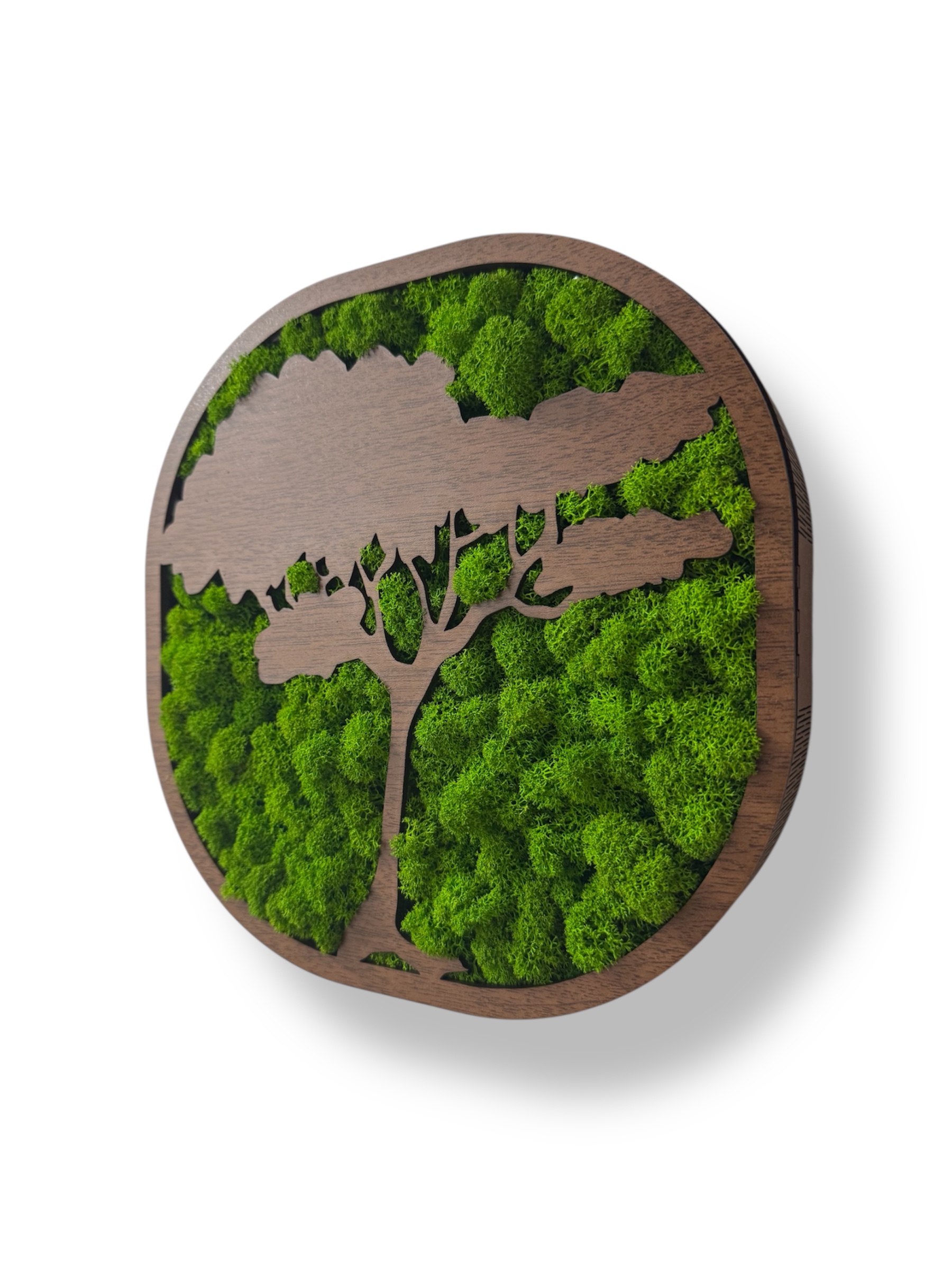 Machový strom života Harmónia 2