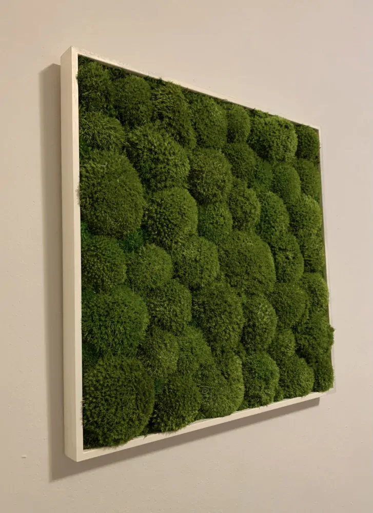 Machový obraz Kopčekový Bolmoss