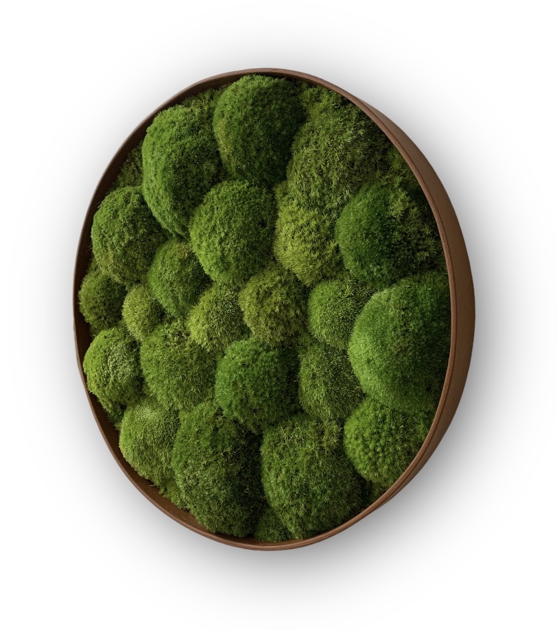 Machový obraz Kruh 2