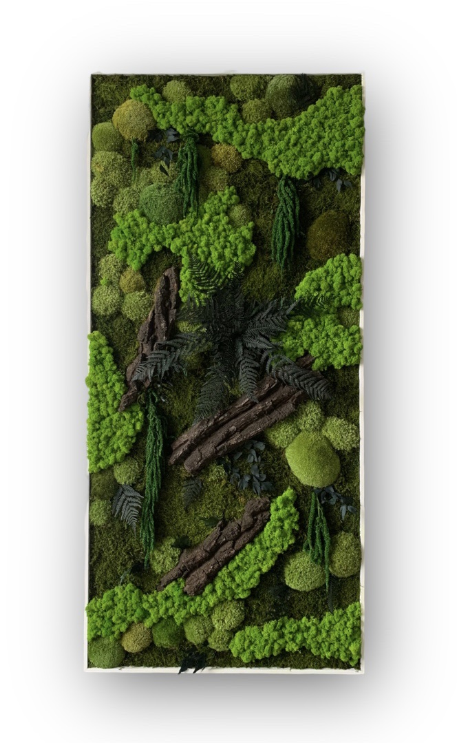 Machový obraz MAGIC 150x70cm