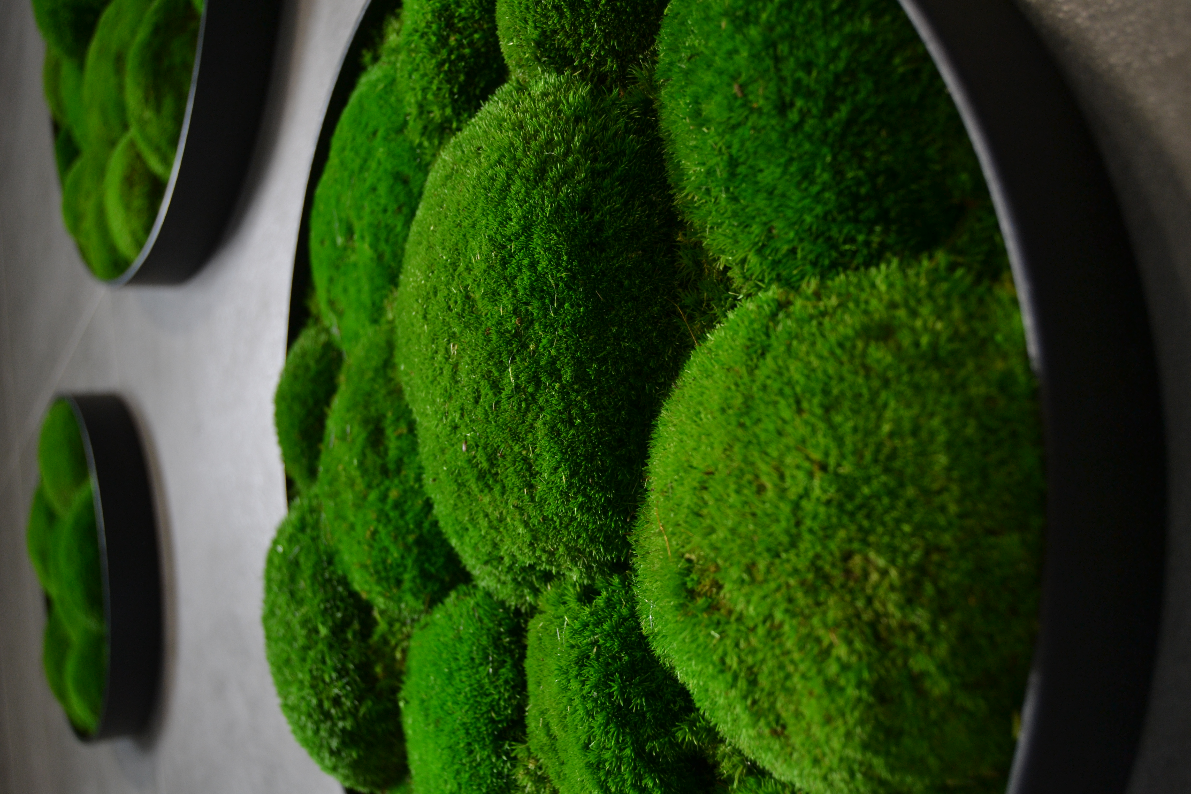 Machový set 3 kruhových obrazov