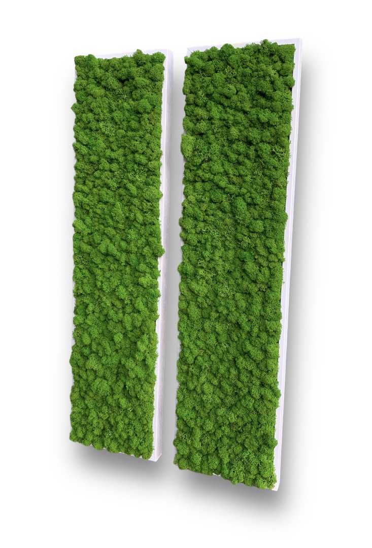 Machový 2-obraz Lišajník 