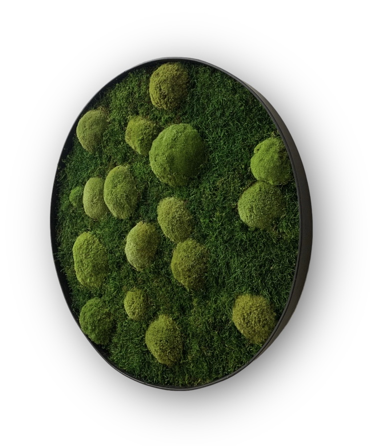 Machový obraz Kruh 3