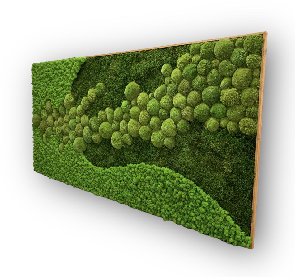 Machový obraz MIX A