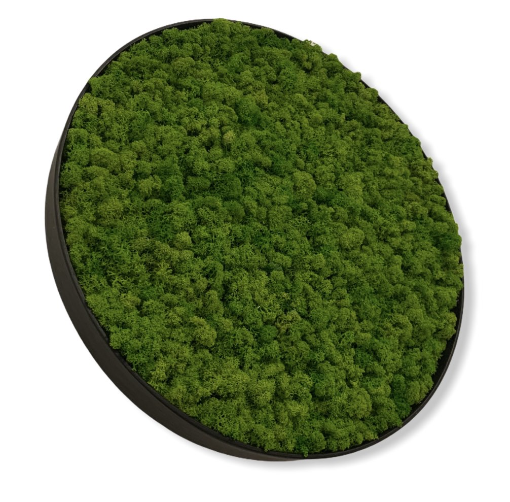 Machový obraz Kruh Lišajník