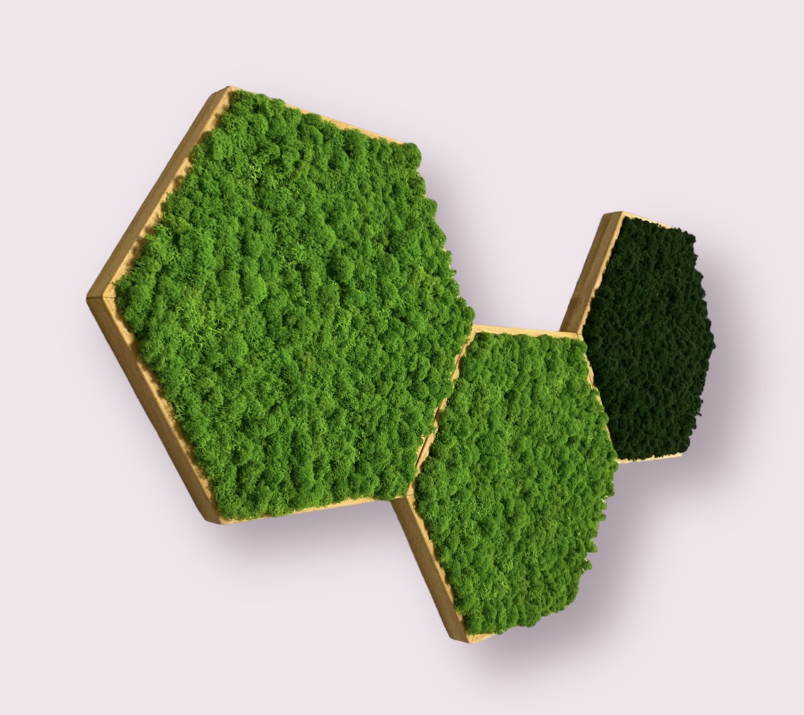 Machový obraz Hexagon Lišajník