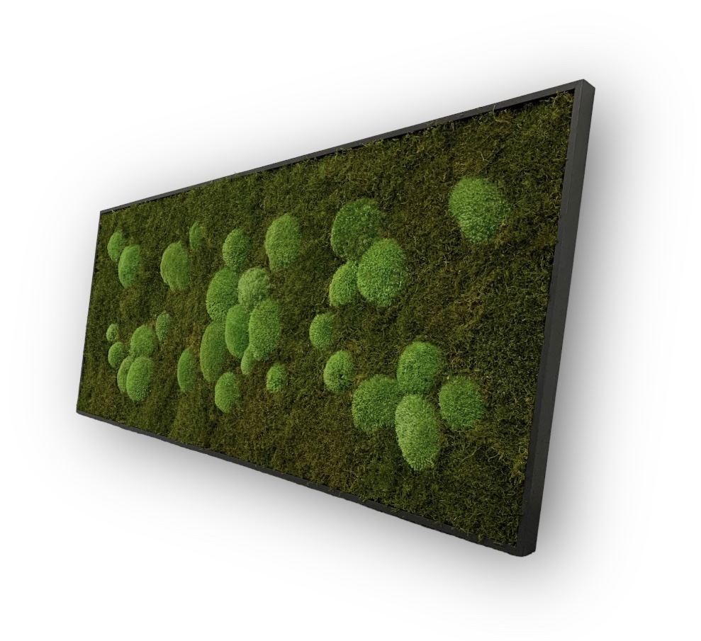 Machový obraz Kopčekovo plochý