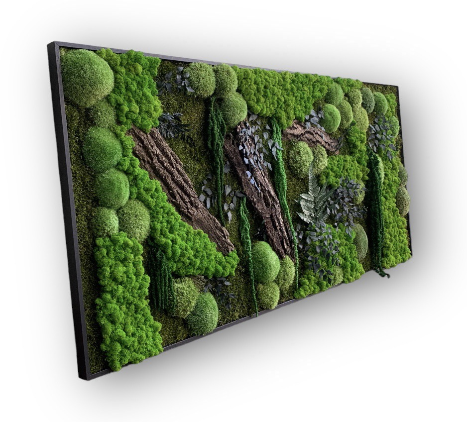 Machový obraz NATUR