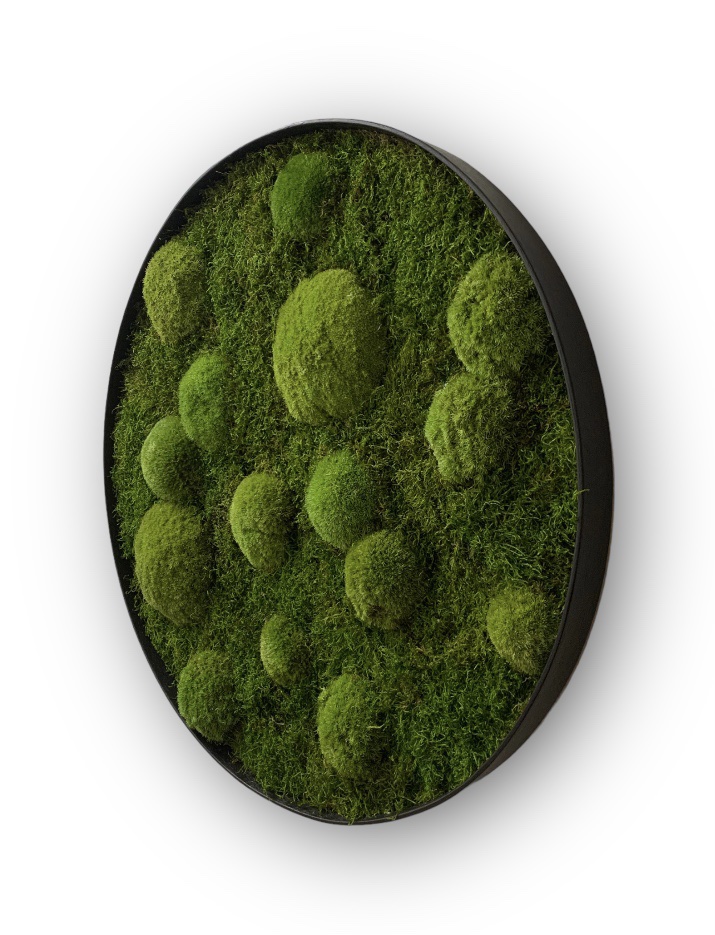 Machový obraz Kruh 4