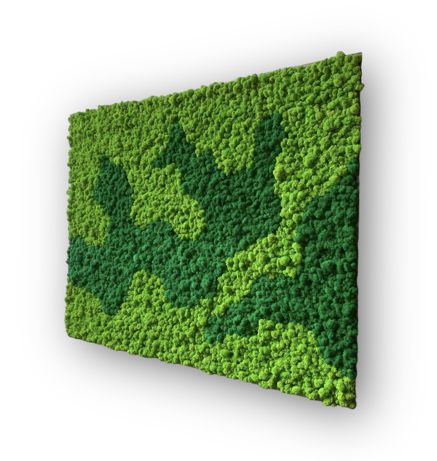 Machový obraz Lišajník 2