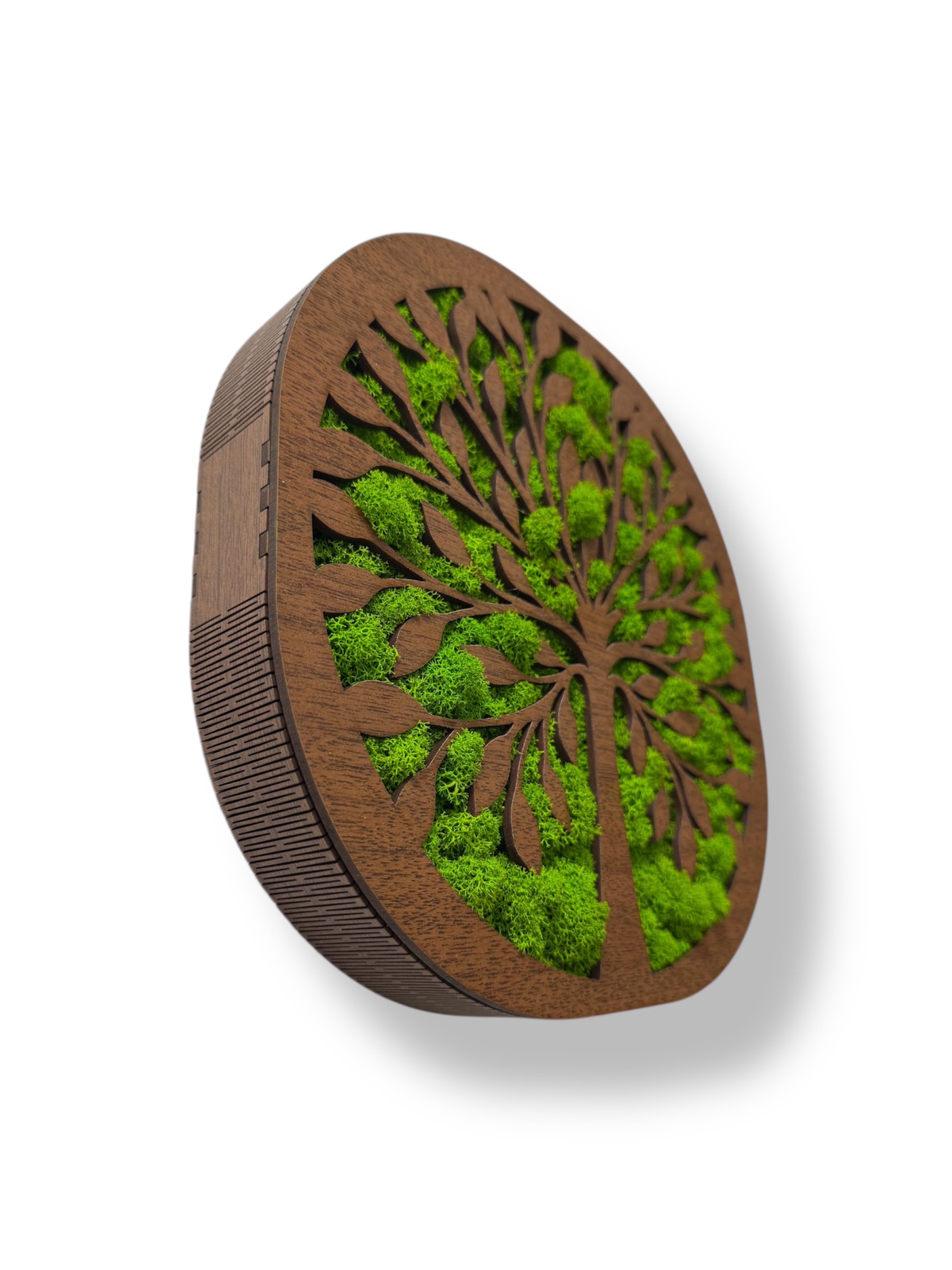 Machový strom života Harmónia 1