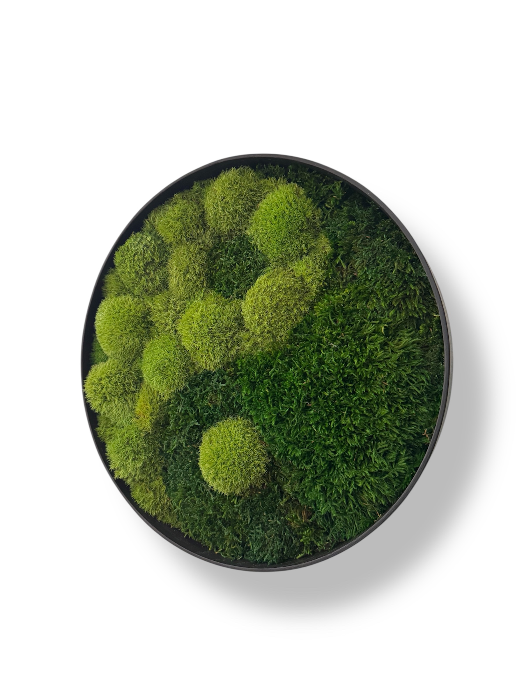 Machový obraz Jin a Jang